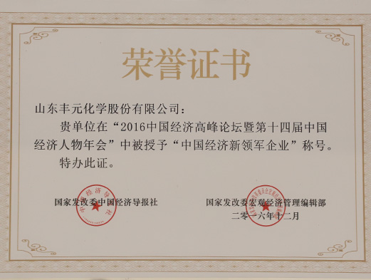 中國經(jīng)濟新領(lǐng)軍企業(yè)
