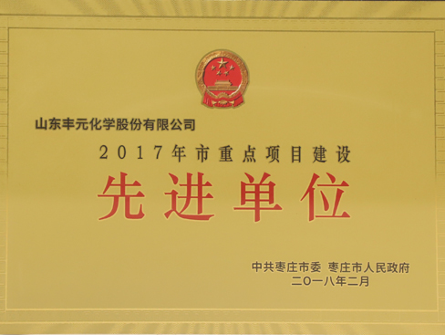 棗莊市重點項目建設(shè)先進單位