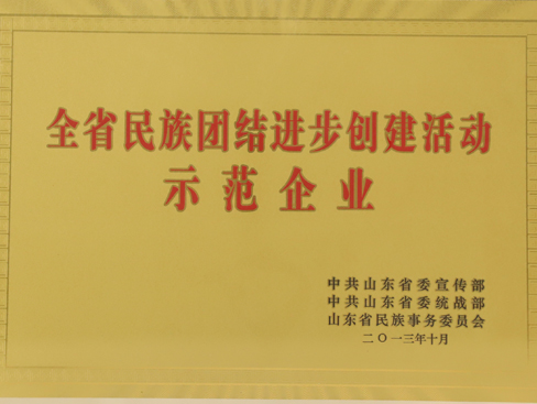 全省民族團結(jié)進步創(chuàng)建活動示范企業(yè)