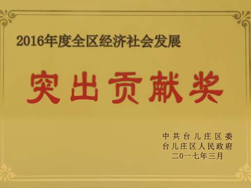 臺兒莊區(qū)經(jīng)濟社會發(fā)展突出貢獻獎